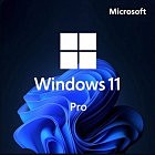 Операційна система Microsoft Win Pro 11 64-bit All Lng PK Lic Online DwnLd NR Конверт (FQC-10572-ESD)